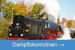 Dampflokomotive Tender voraus im Bahnhof Kulmbach